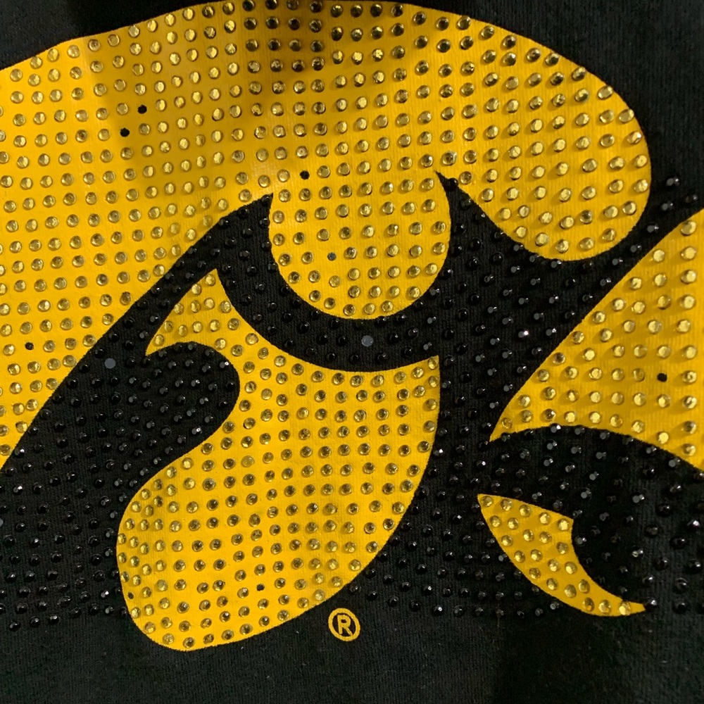Iowa Hawkeyes - Picture 3 of 5